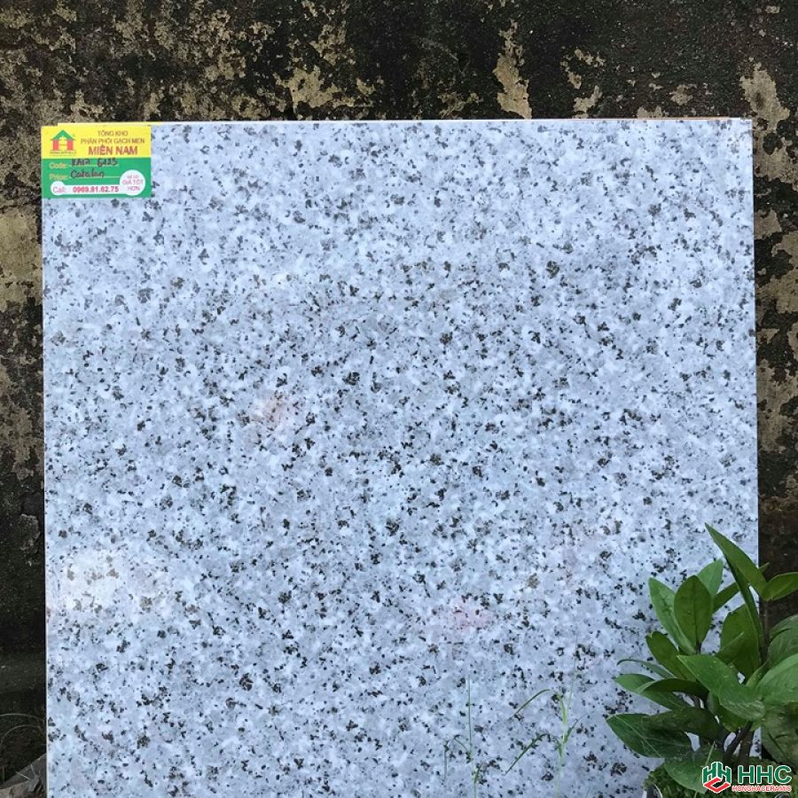 Gạch lát nền phòng ngủ 60x60 K176123CTL